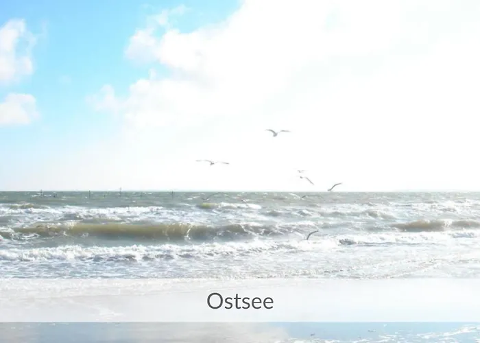 Apartamento Deck 29 *